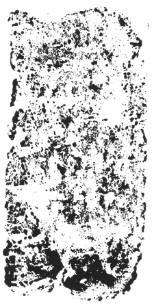 33eb15579648431af079367d0dc6fa66c79bb447 (1)
